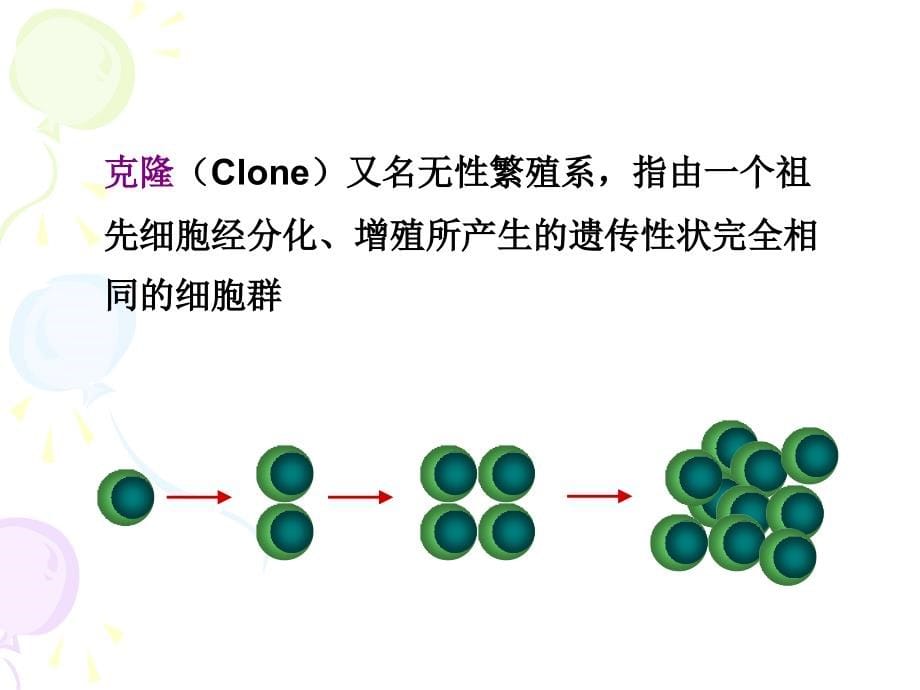 单克隆抗体制备和应用_第5页