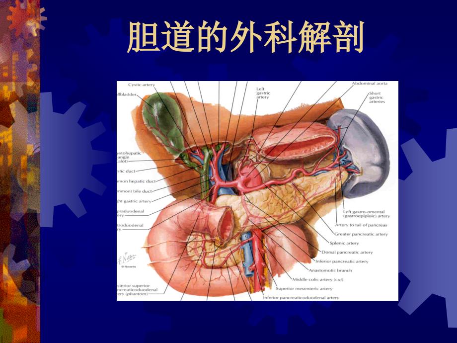 胆石症外科治疗与护理_第4页