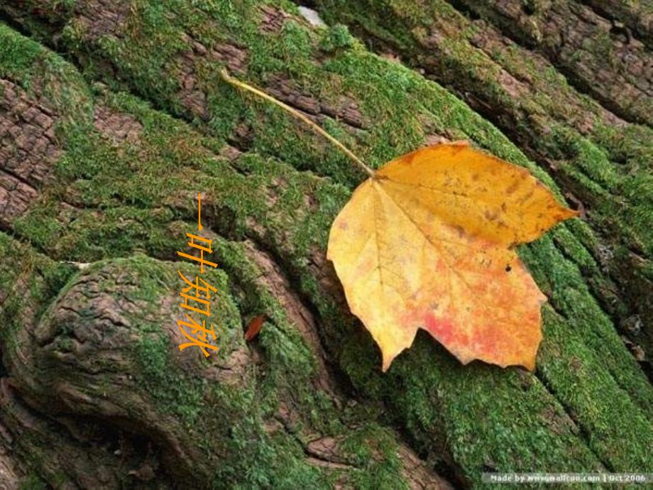 鄂教版语文七年级下册课件：8、诗两首_秋天_雪花的快乐 1_第4页