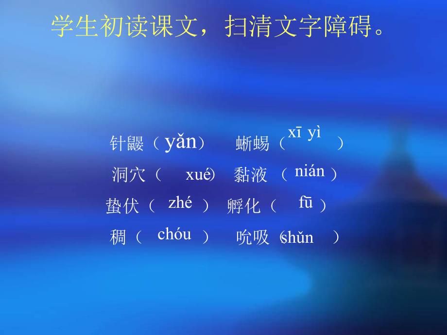 语文版语文七年级下册：《珍奇的稀有动物——针鼹》ppt课件1_第3页