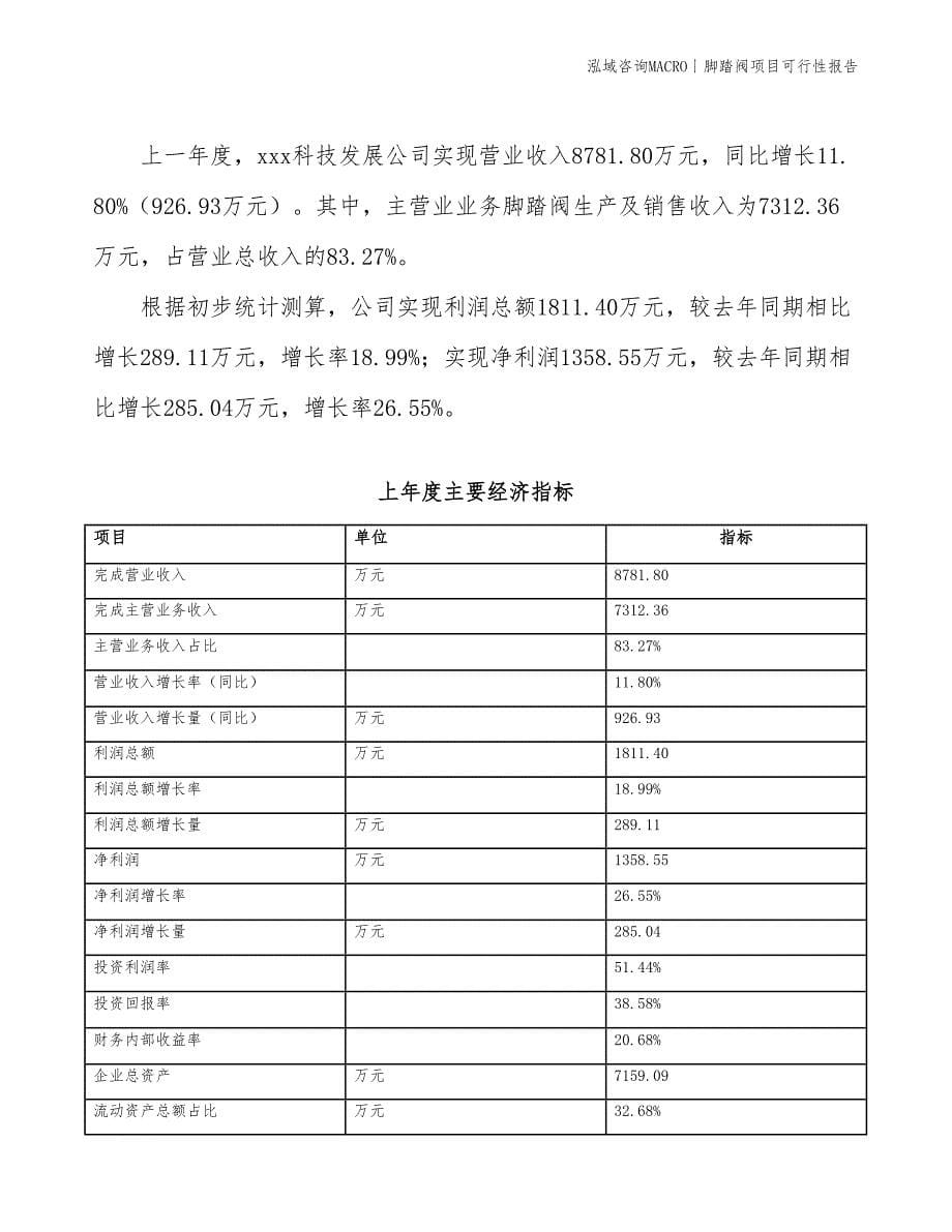 脚踏阀项目可行性报告_第5页