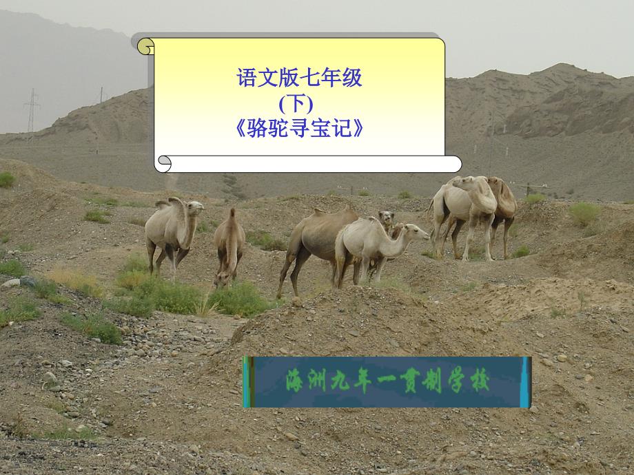 语文版语文七年级下册：9骆驼寻宝记_第1页