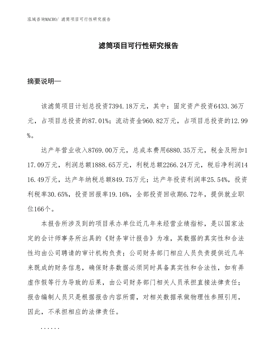 （模板）滤筒项目可行性研究报告_第1页