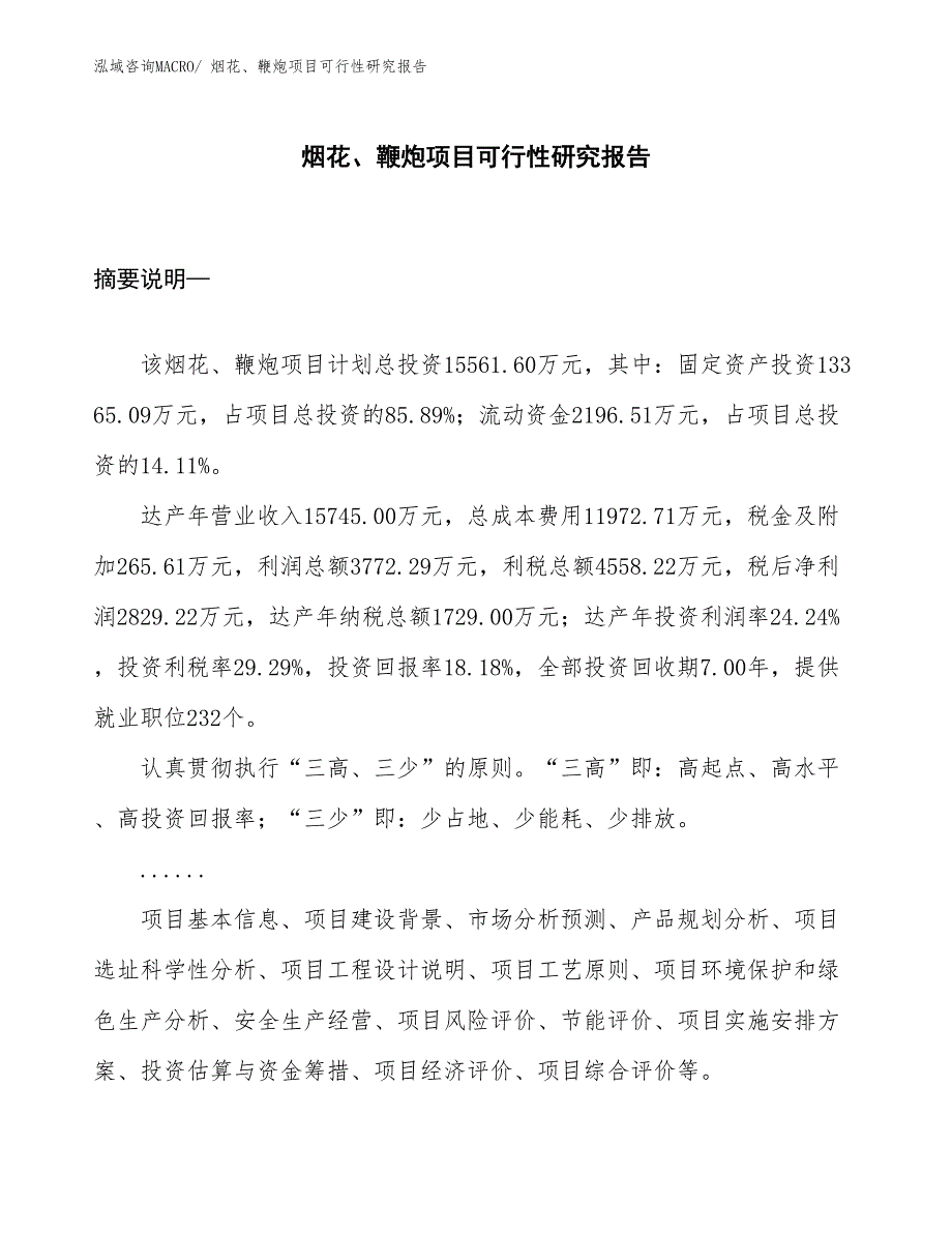 （参考）烟花、鞭炮项目可行性研究报告_第1页