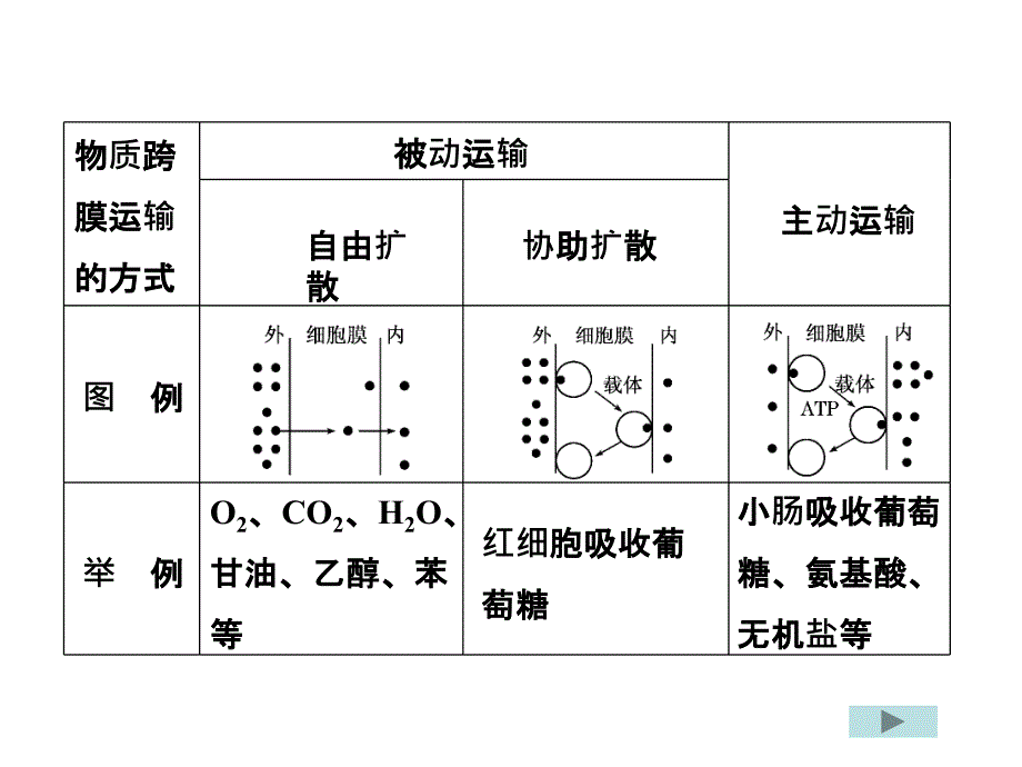 物质的运输方式(上_第4页