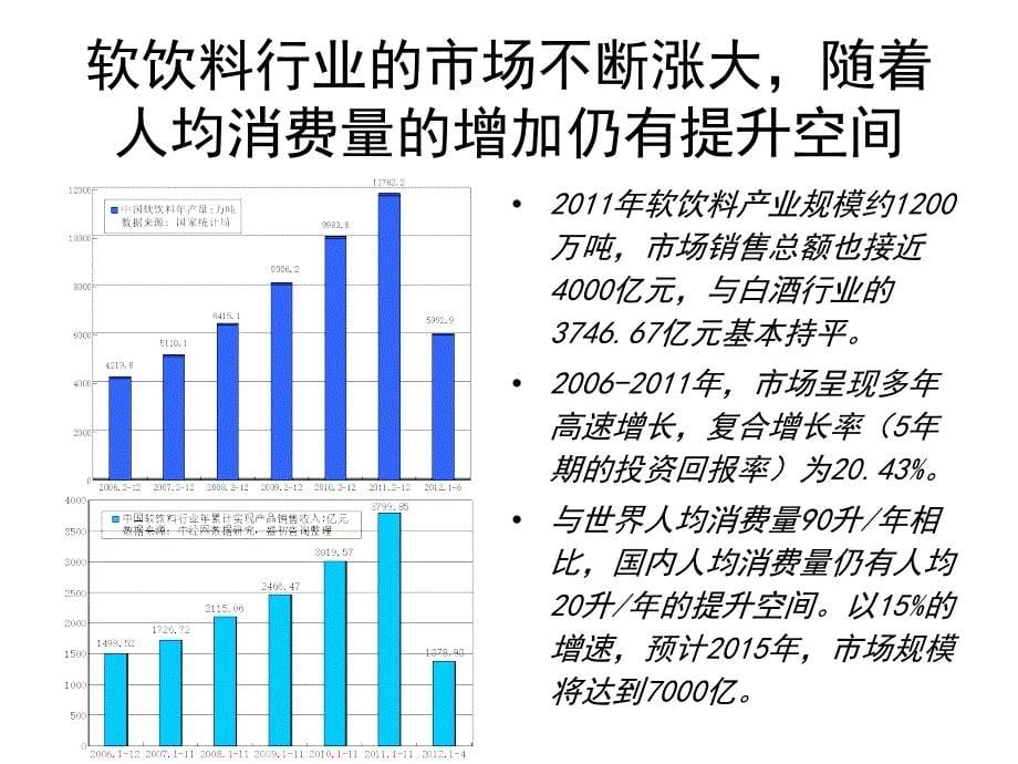 软饮料市场研究及红枣露营销规划_第5页