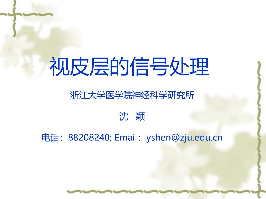 7、视皮层的信号处理-S_第1页