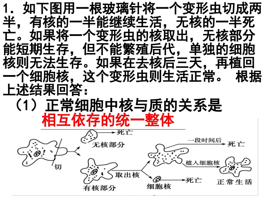 李洪发编写高一(上)期中考试重点练_第1页