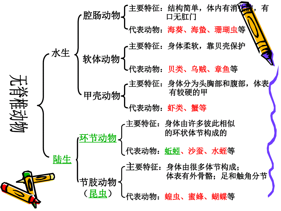 上册生物第五单元1-3章复习_第4页