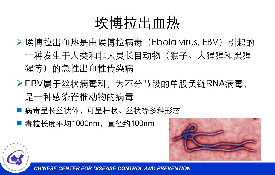 20140804_8月4日埃博拉出血热防控（含防控及诊疗方案）_第4页