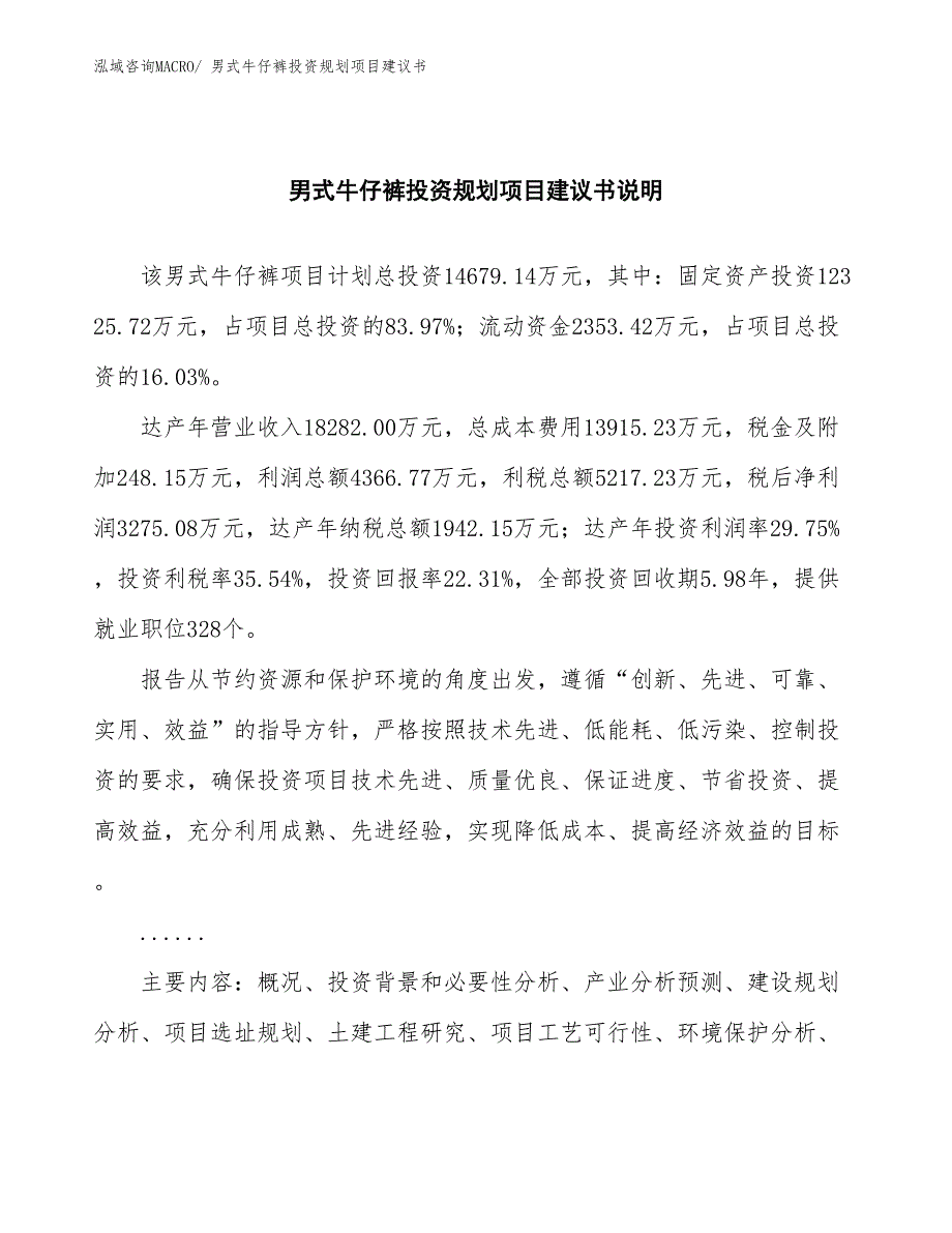 （规划说明）男式牛仔裤投资规划项目建议书_第2页