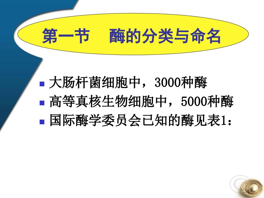 【5A文】酶学基础知识_第3页