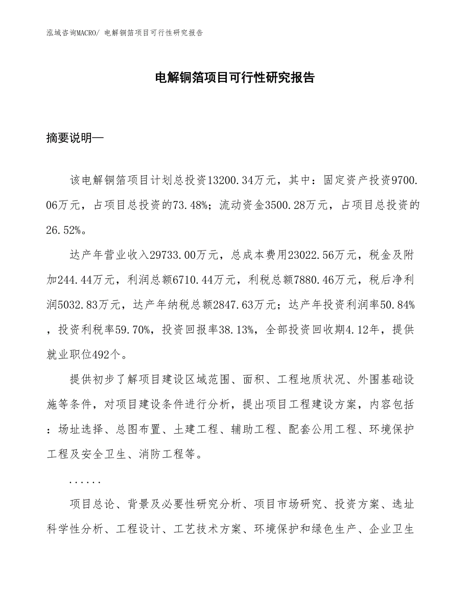 （立项审批）电解铜箔项目可行性研究报告_第1页