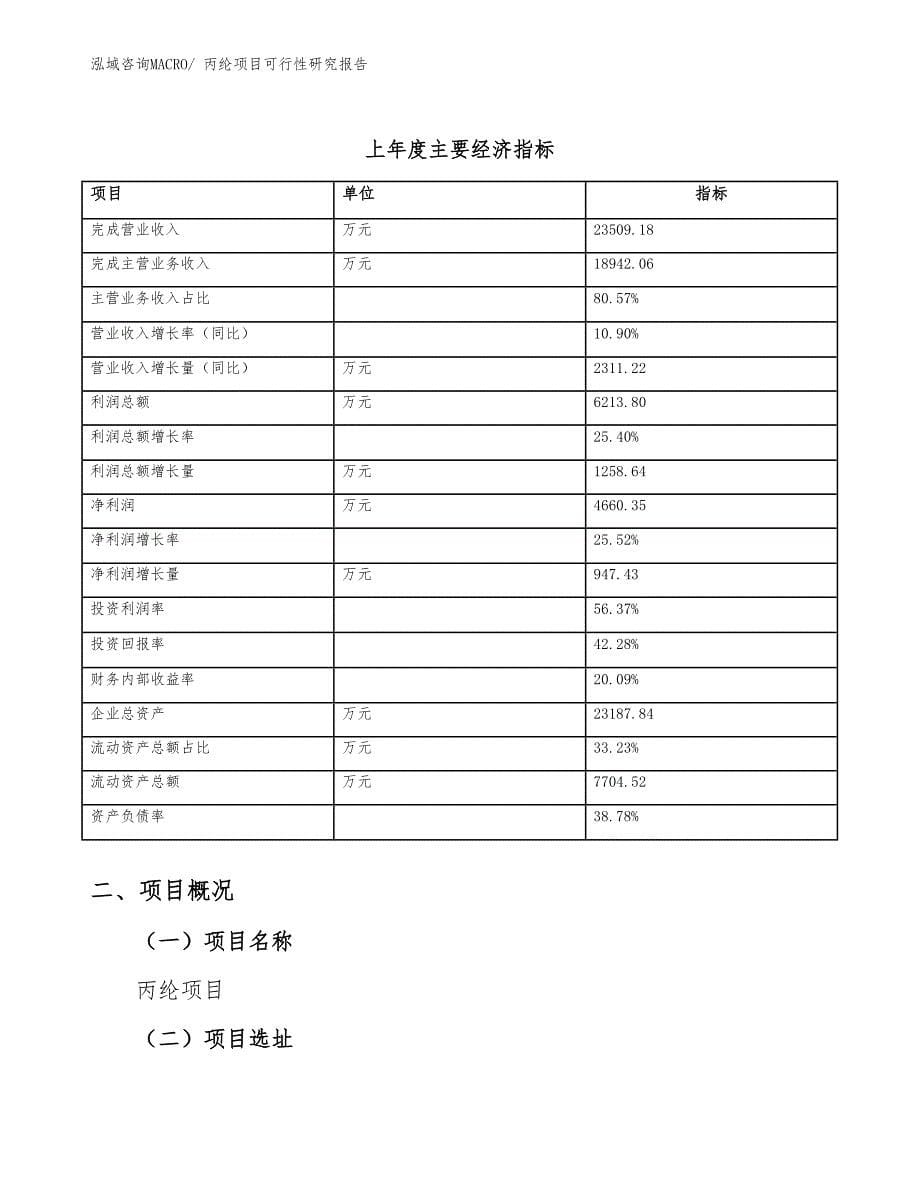 （模板）丙纶项目可行性研究报告_第5页