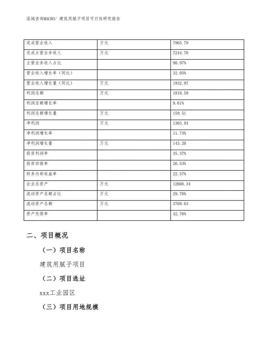 （模板）建筑用腻子项目可行性研究报告_第5页