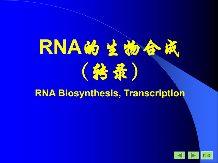 《rna的生物合成》ppt课件_第1页