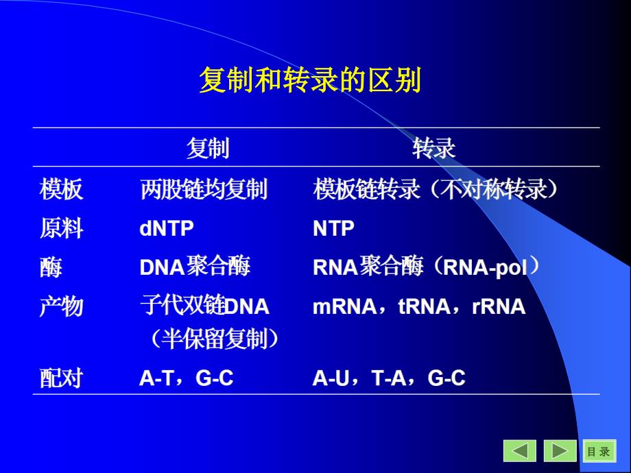 《rna的生物合成》ppt课件_第3页