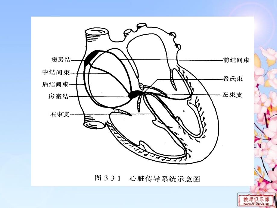 《起搏器护理》ppt课件_第3页