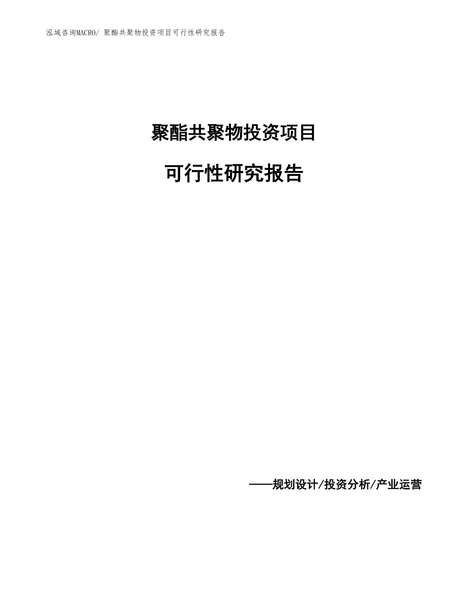 （参考）聚酯共聚物投资项目可行性研究报告_第1页