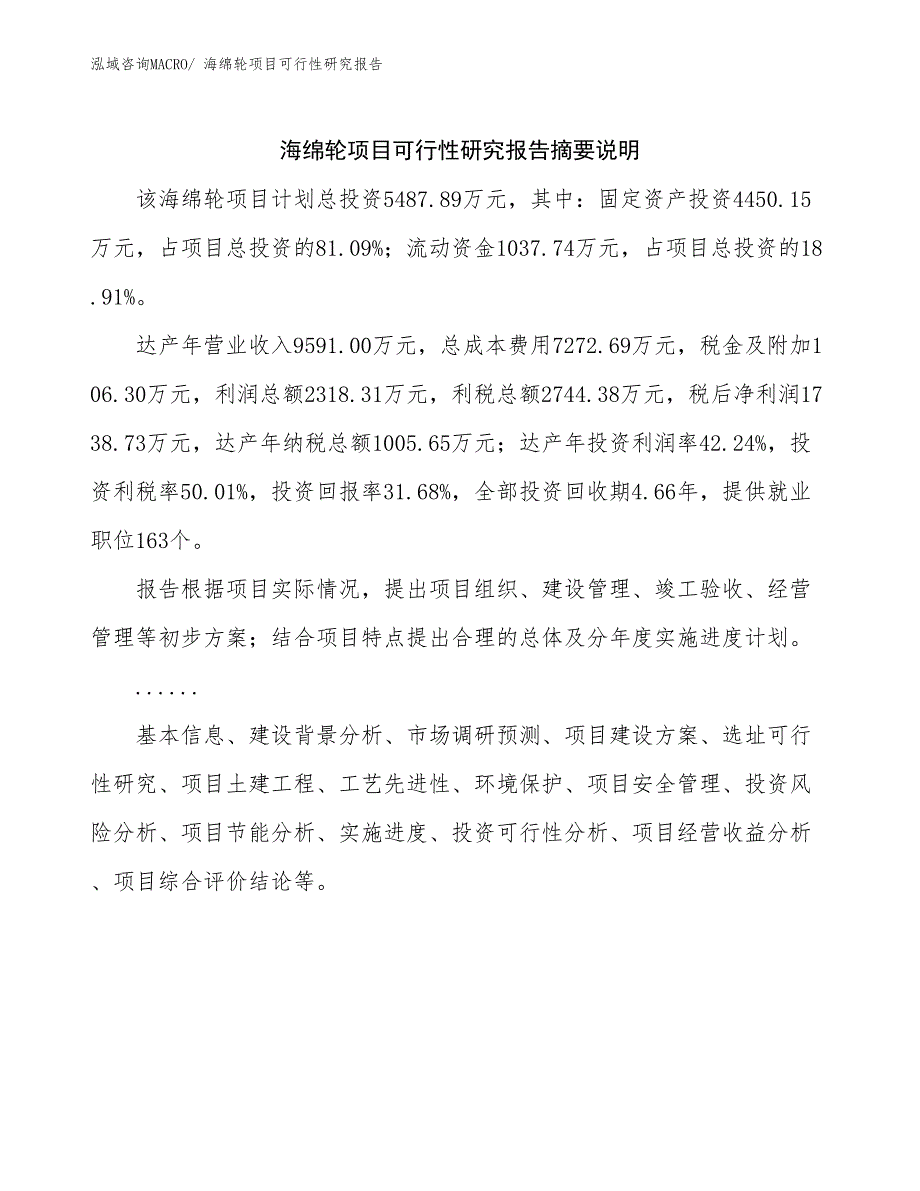 （参考模板）海绵轮项目可行性研究报告_第2页