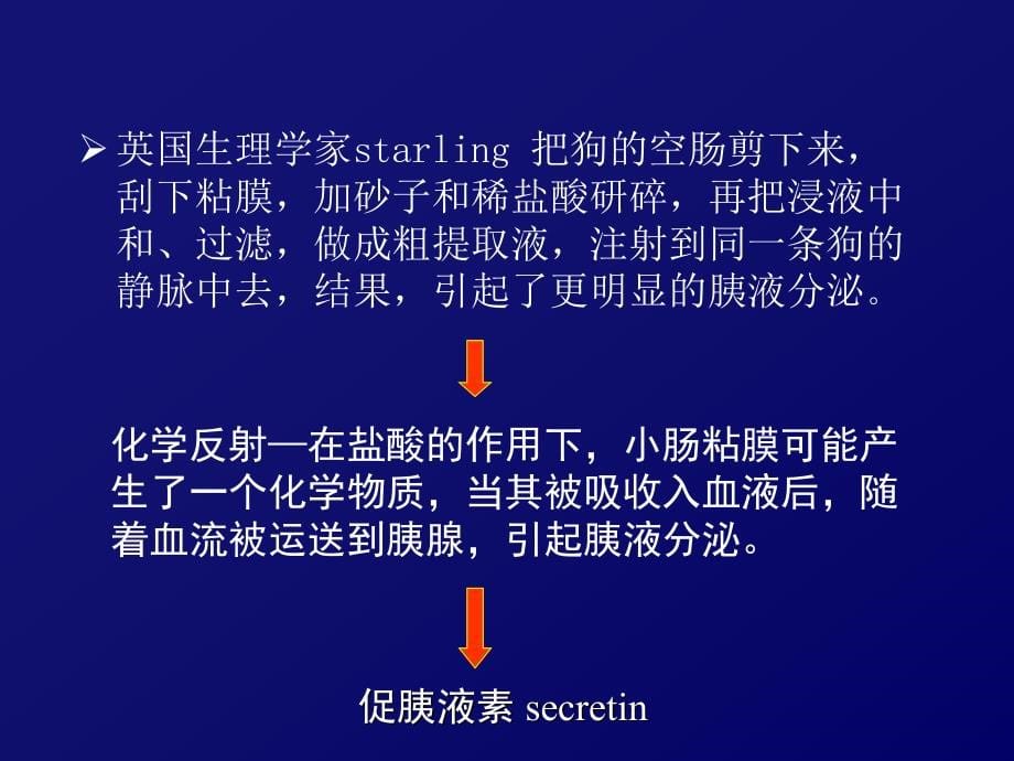 09年本科内分泌系统第一次课程_第5页