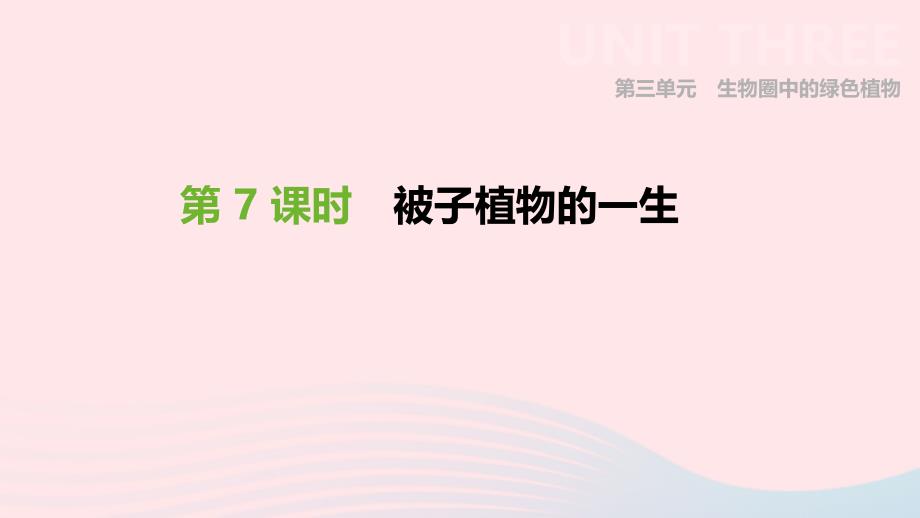 2019年中考生物 专题复习三 生物圈中的绿色植物 第07课时 被子植物的一生课件 新人教版_第1页