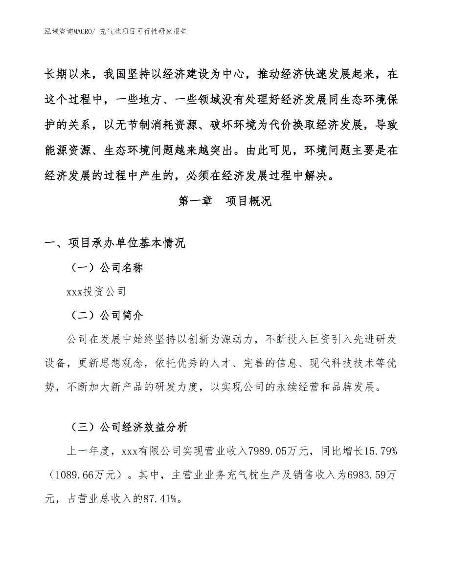 （参考模板）充气枕项目可行性研究报告_第4页