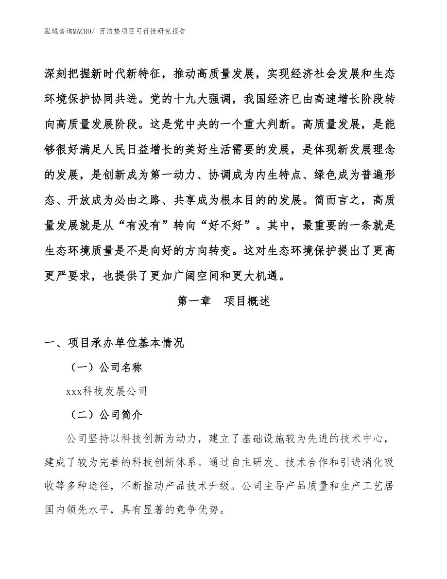 （参考模板）百洁垫项目可行性研究报告_第4页