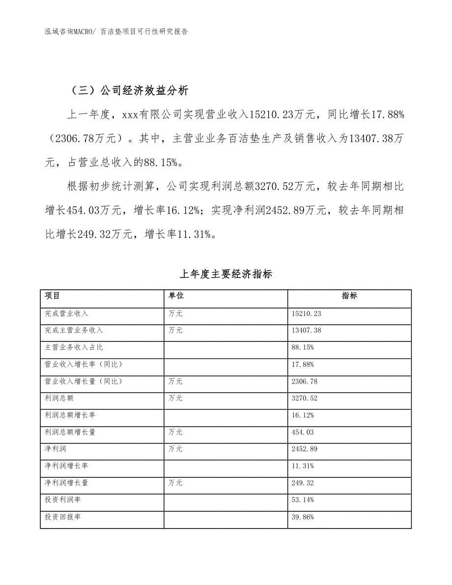 （参考模板）百洁垫项目可行性研究报告_第5页