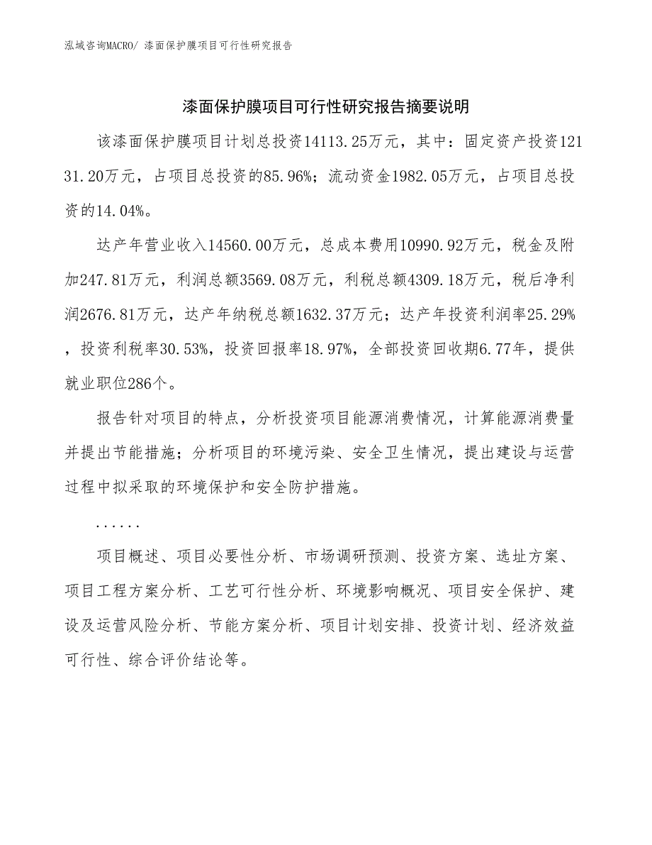 （参考模板）漆面保护膜项目可行性研究报告_第2页