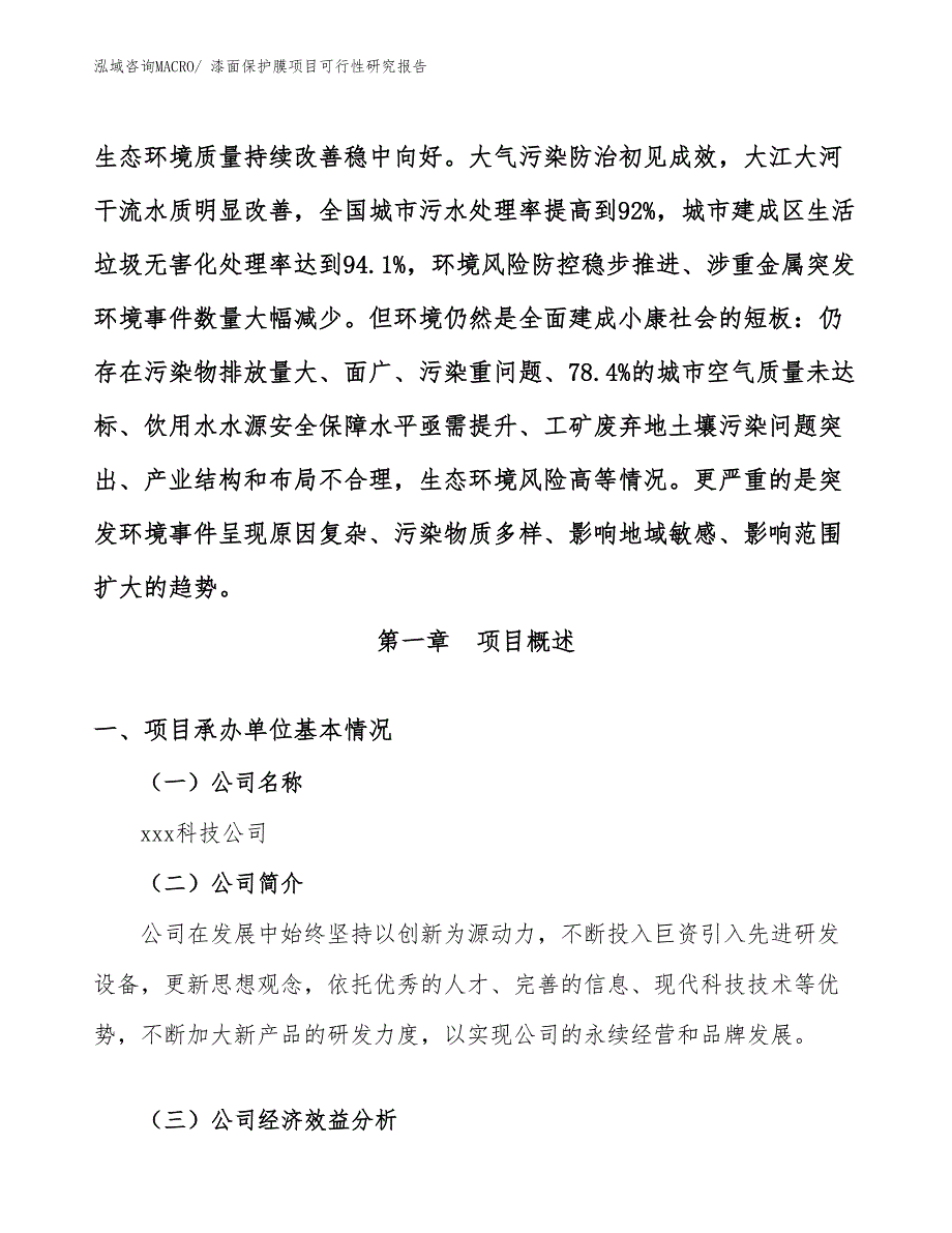 （参考模板）漆面保护膜项目可行性研究报告_第4页