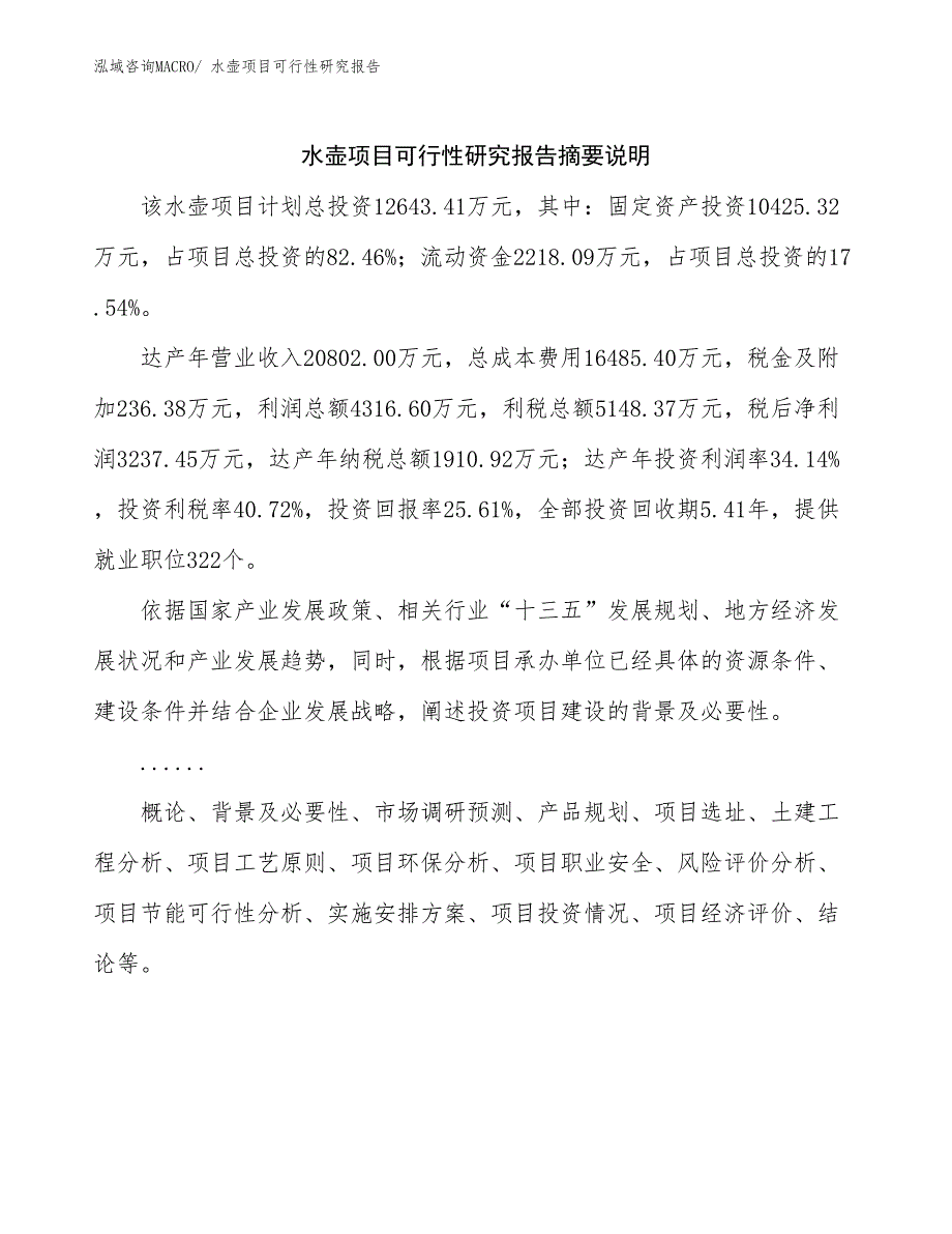 （参考模板）水壶项目可行性研究报告_第2页