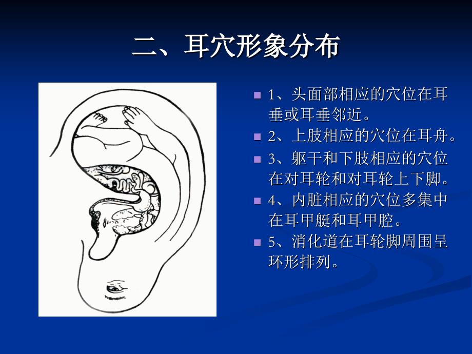 《耳穴压豆》ppt课件_第3页