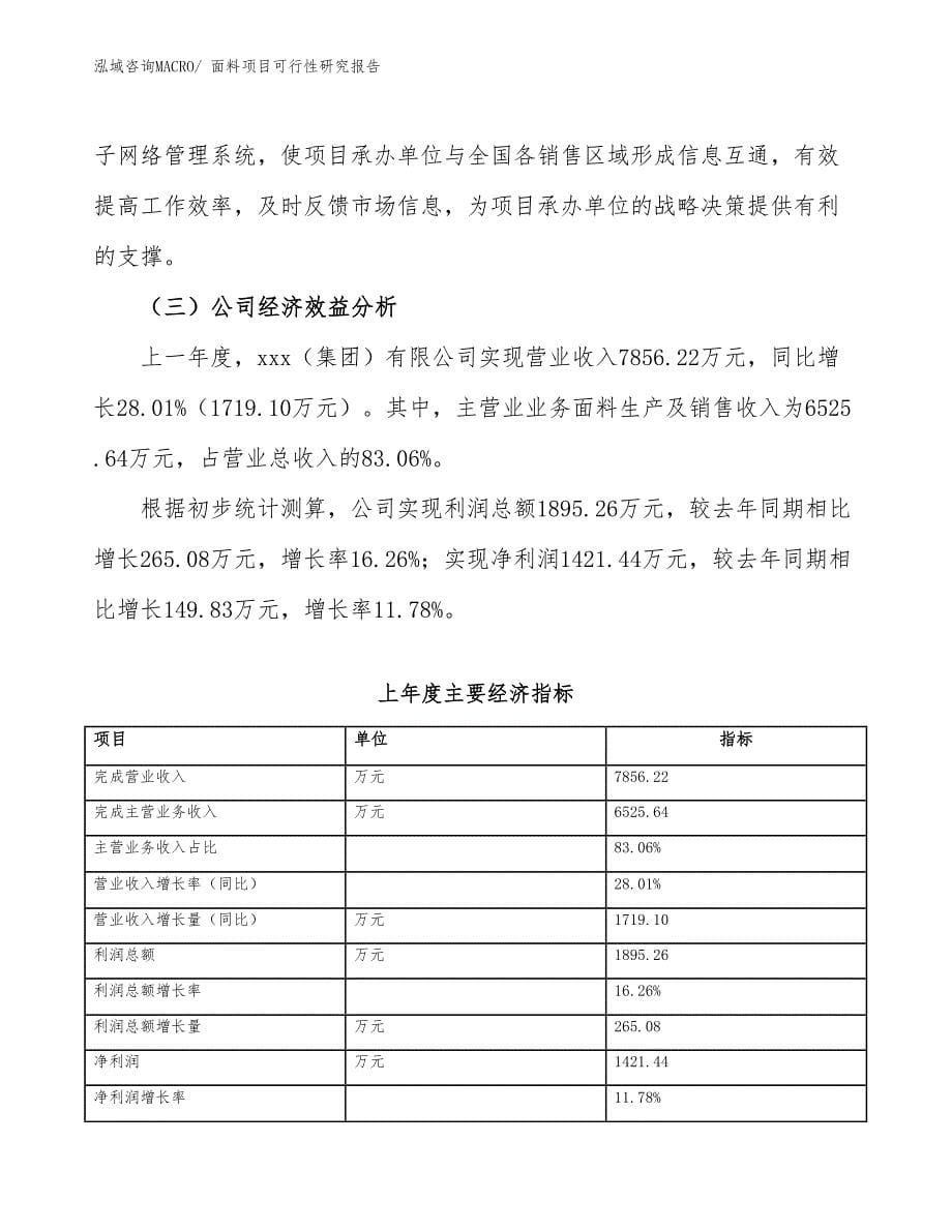 （参考模板）面料项目可行性研究报告_第5页