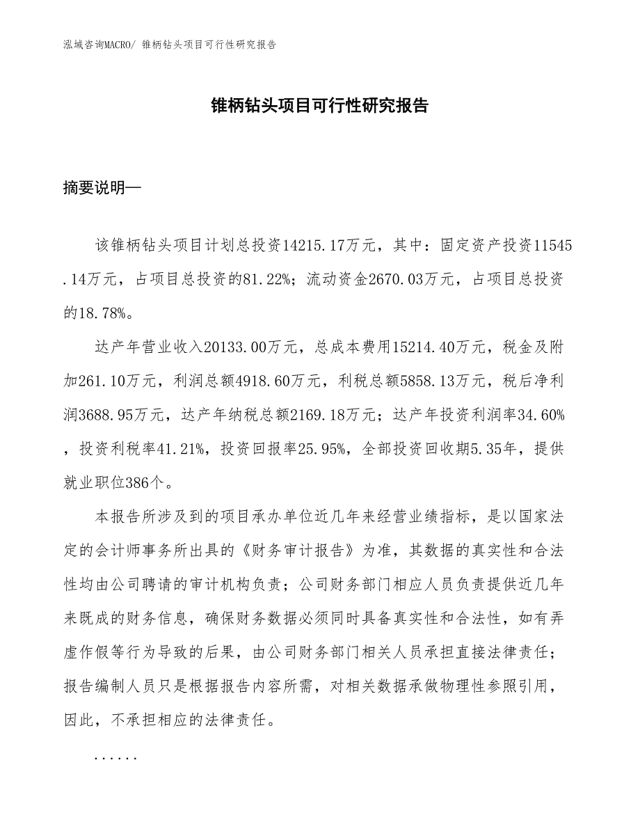 （规划设计）锥柄钻头项目可行性研究报告_第1页