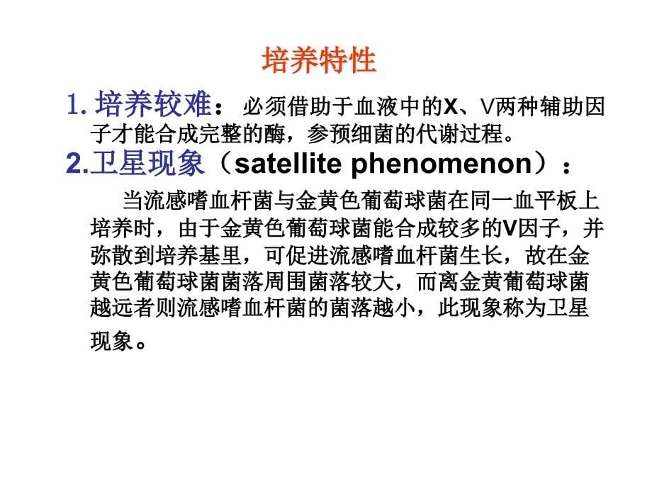 《嗜血杆菌属》ppt课件-2_第5页