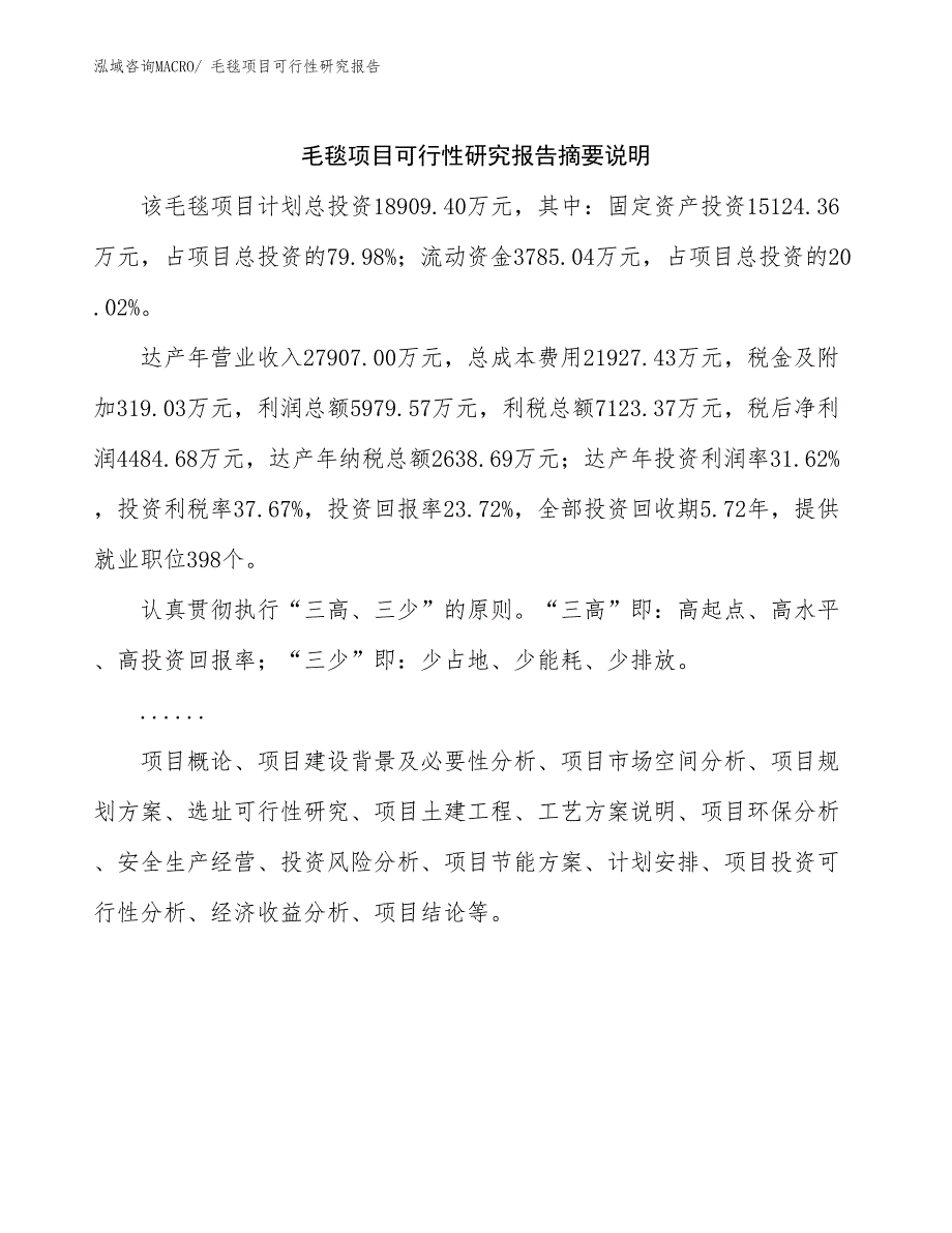 （模板）毛毯项目可行性研究报告_第2页