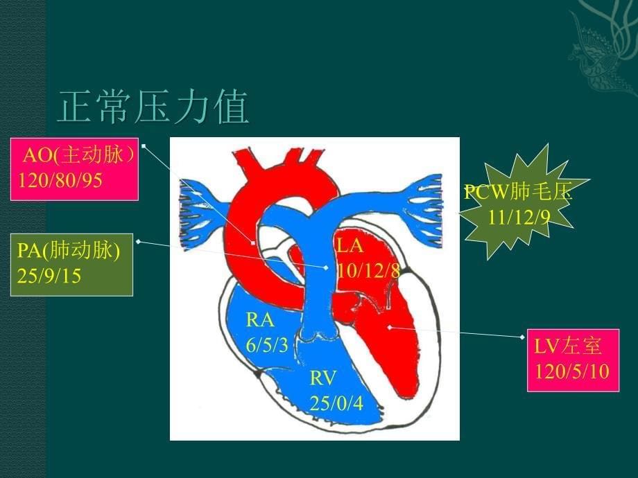 EP clinical Training _第5页