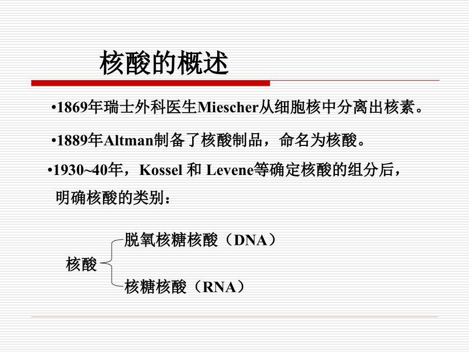 《核酸化学》ppt课件_第2页