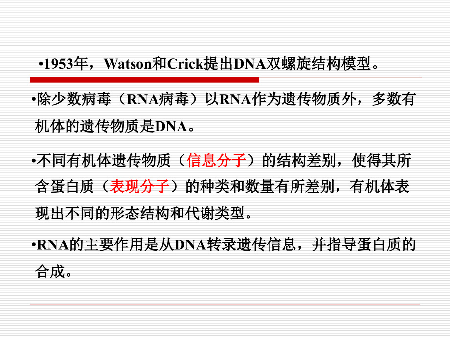 《核酸化学》ppt课件_第4页