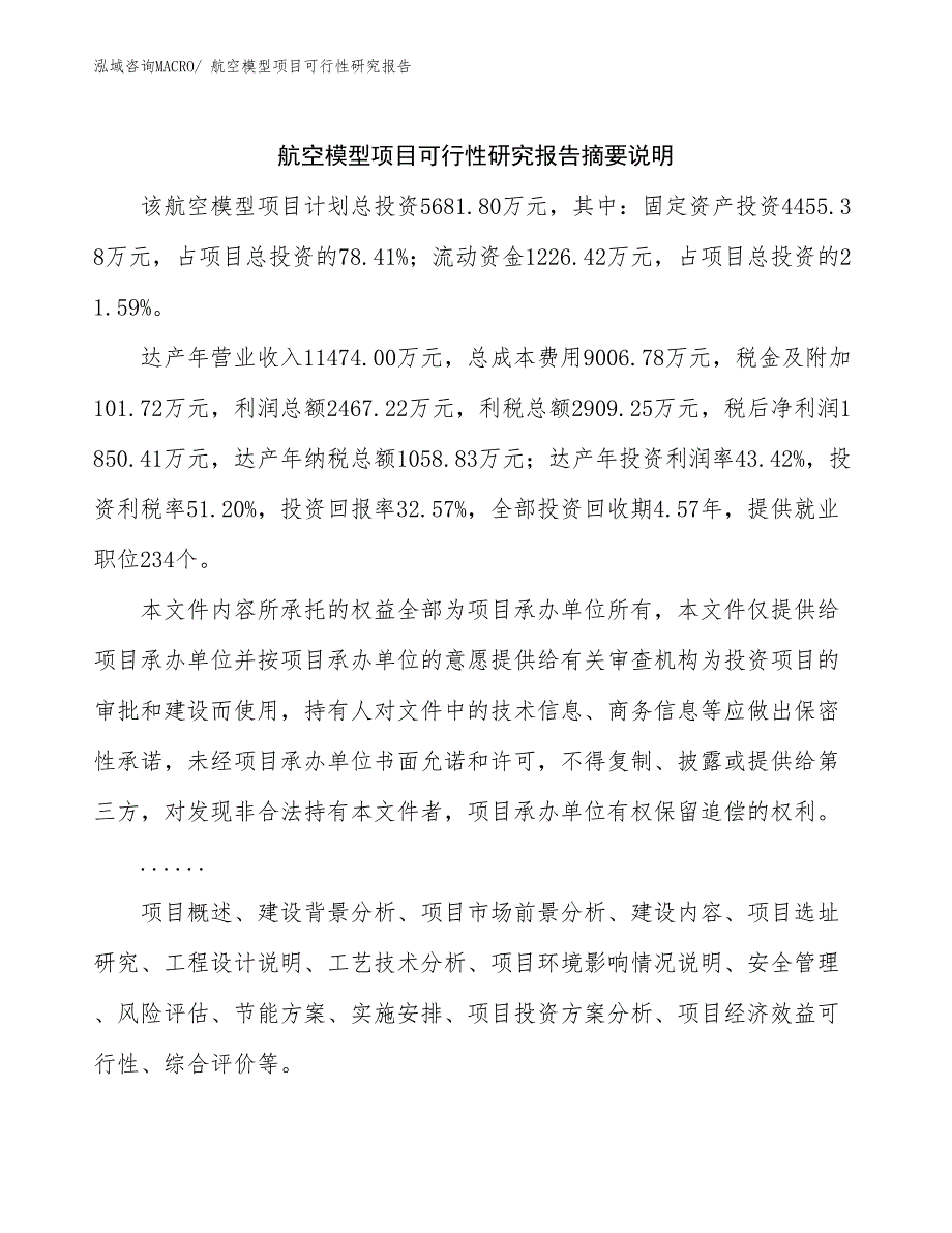 （模板）航空模型项目可行性研究报告_第2页