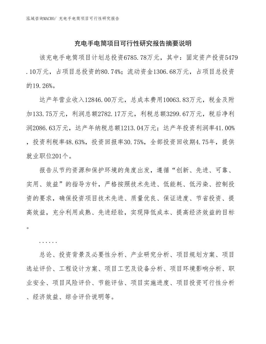 （模板）充电手电筒项目可行性研究报告_第2页