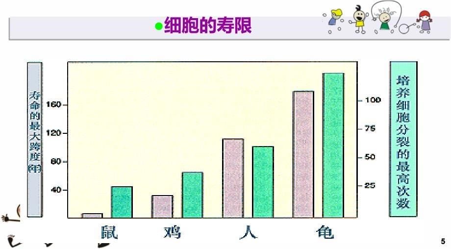 [医学]第十四章 细胞的衰老、死亡和癌变_第5页