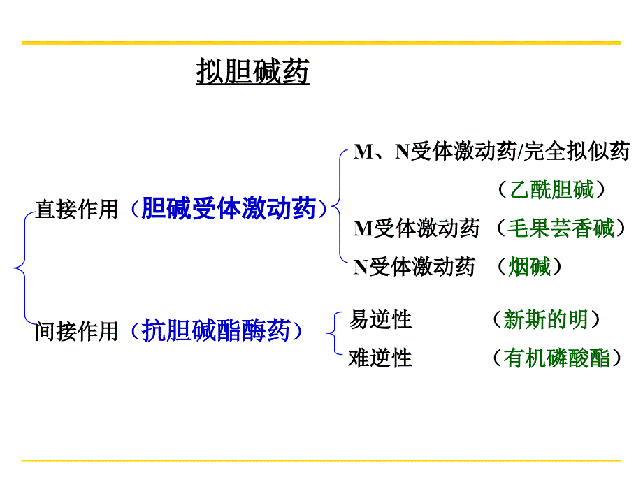 《抗胆碱酯酶药物》ppt课件_第2页