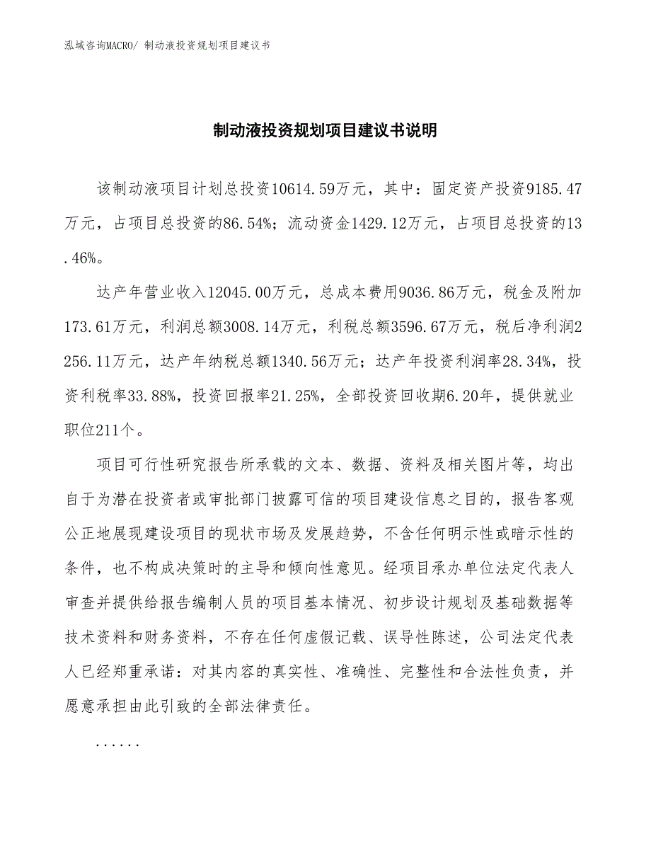 （规划说明）制动液投资规划项目建议书_第2页