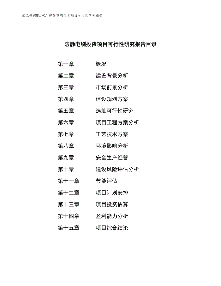 （模板）防静电刷投资项目可行性研究报告_第3页