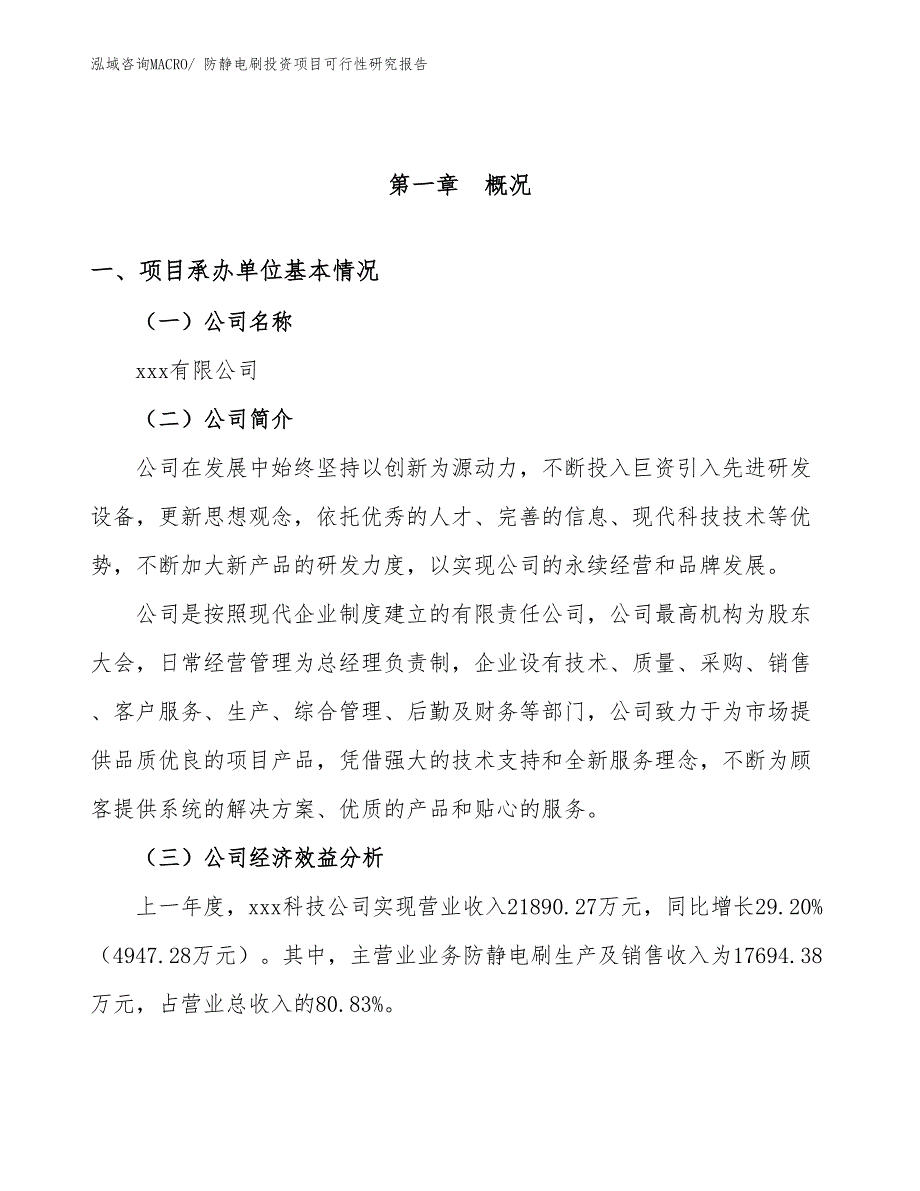 （模板）防静电刷投资项目可行性研究报告_第4页