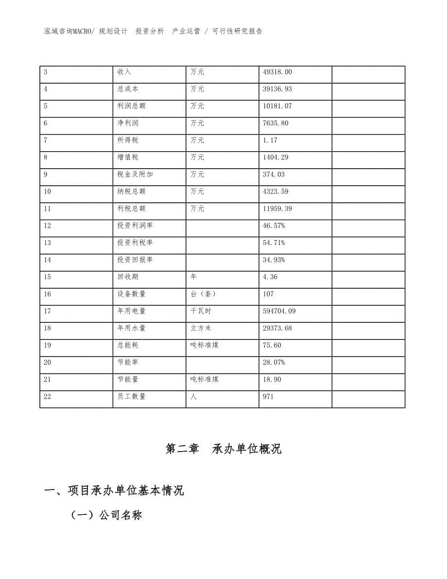 潜水泵项目可行性研究报告（参考模板）_第5页