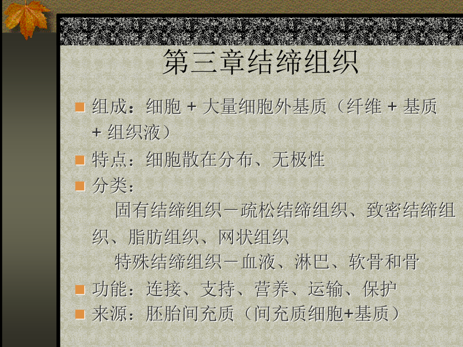 《结缔组织医学医药》ppt课件_第1页