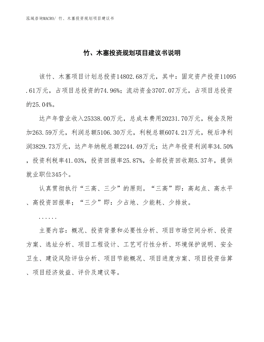 （规划说明）竹、木塞投资规划项目建议书_第2页